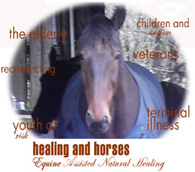 Equine Assisted Natural Healing